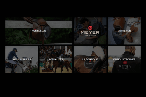 thumbnail Meyer Selles